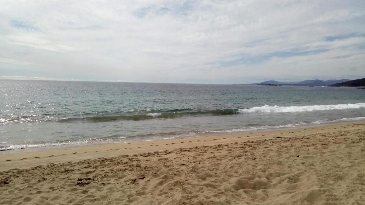 Bosque Playa Lomas De 3 * Papudo