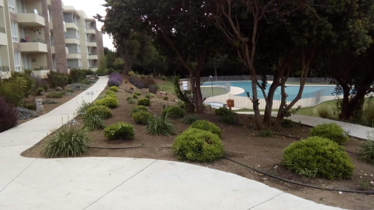 Apartment Bosque Playa Lomas De 3 Papudo